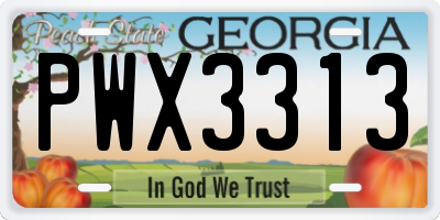 GA license plate PWX3313