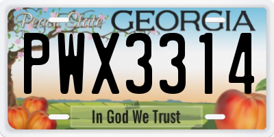 GA license plate PWX3314
