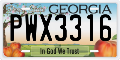 GA license plate PWX3316