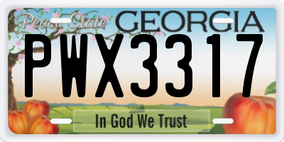 GA license plate PWX3317