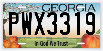 GA license plate PWX3319