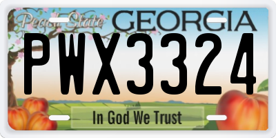 GA license plate PWX3324