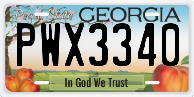 GA license plate PWX3340