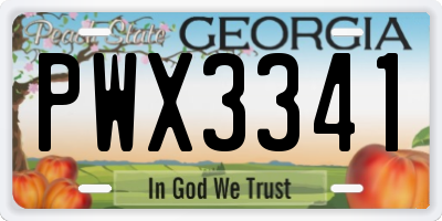 GA license plate PWX3341