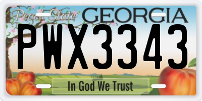 GA license plate PWX3343