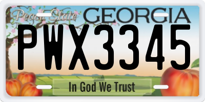 GA license plate PWX3345