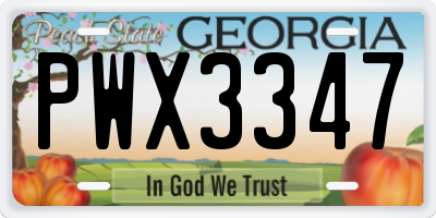 GA license plate PWX3347