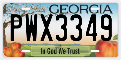 GA license plate PWX3349