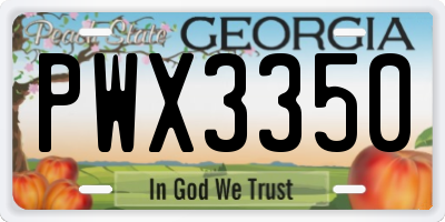 GA license plate PWX3350