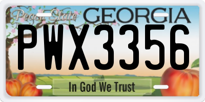 GA license plate PWX3356