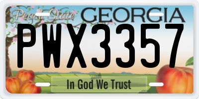 GA license plate PWX3357