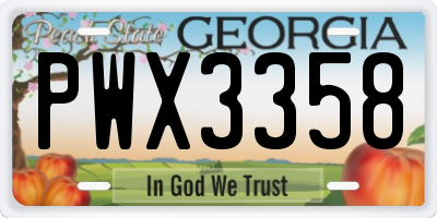 GA license plate PWX3358