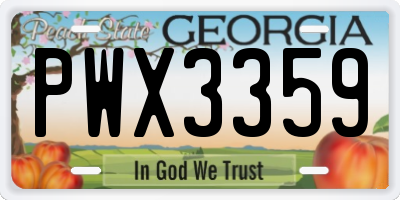GA license plate PWX3359