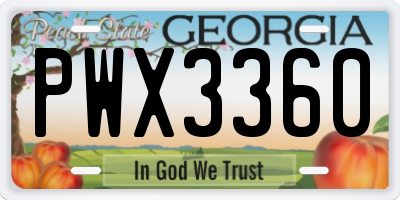 GA license plate PWX3360