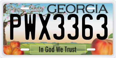 GA license plate PWX3363