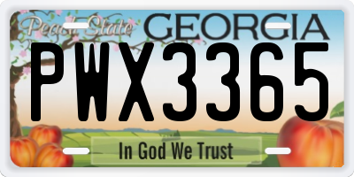 GA license plate PWX3365