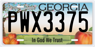 GA license plate PWX3375