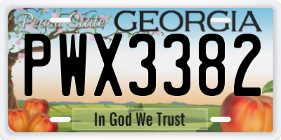 GA license plate PWX3382