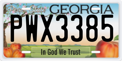 GA license plate PWX3385