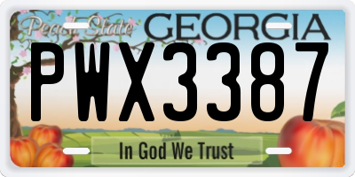 GA license plate PWX3387