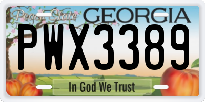 GA license plate PWX3389