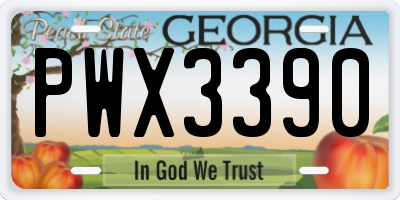 GA license plate PWX3390