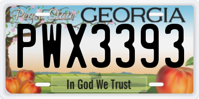 GA license plate PWX3393