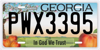GA license plate PWX3395