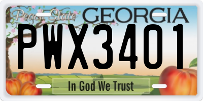GA license plate PWX3401