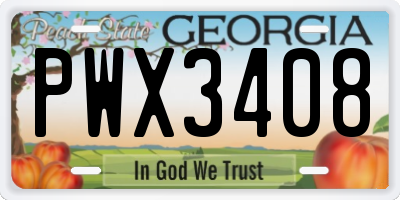 GA license plate PWX3408