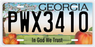 GA license plate PWX3410