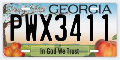 GA license plate PWX3411