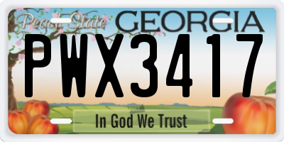 GA license plate PWX3417