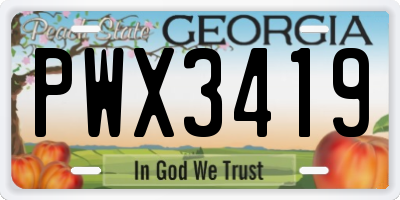 GA license plate PWX3419