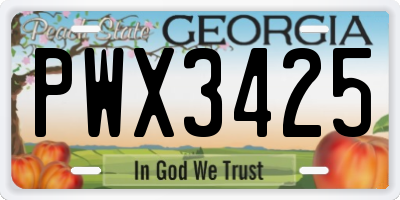 GA license plate PWX3425