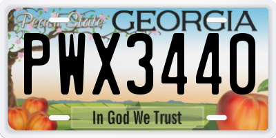 GA license plate PWX3440