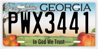 GA license plate PWX3441