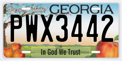 GA license plate PWX3442