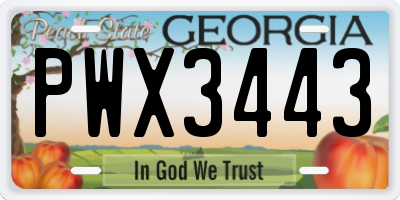GA license plate PWX3443