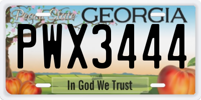 GA license plate PWX3444
