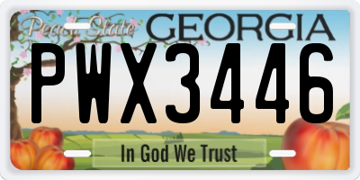 GA license plate PWX3446