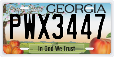 GA license plate PWX3447