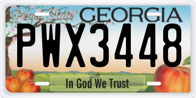 GA license plate PWX3448