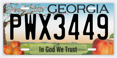 GA license plate PWX3449