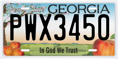 GA license plate PWX3450