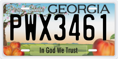 GA license plate PWX3461