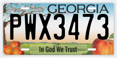 GA license plate PWX3473