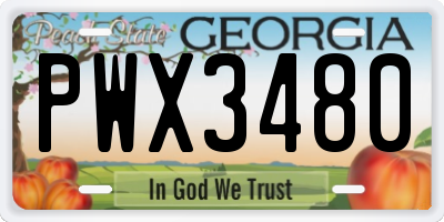GA license plate PWX3480