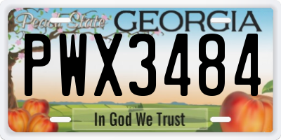 GA license plate PWX3484