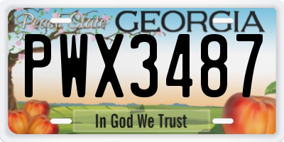 GA license plate PWX3487